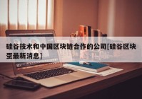 硅谷技术和中国区块链合作的公司[硅谷区块蛋最新消息]